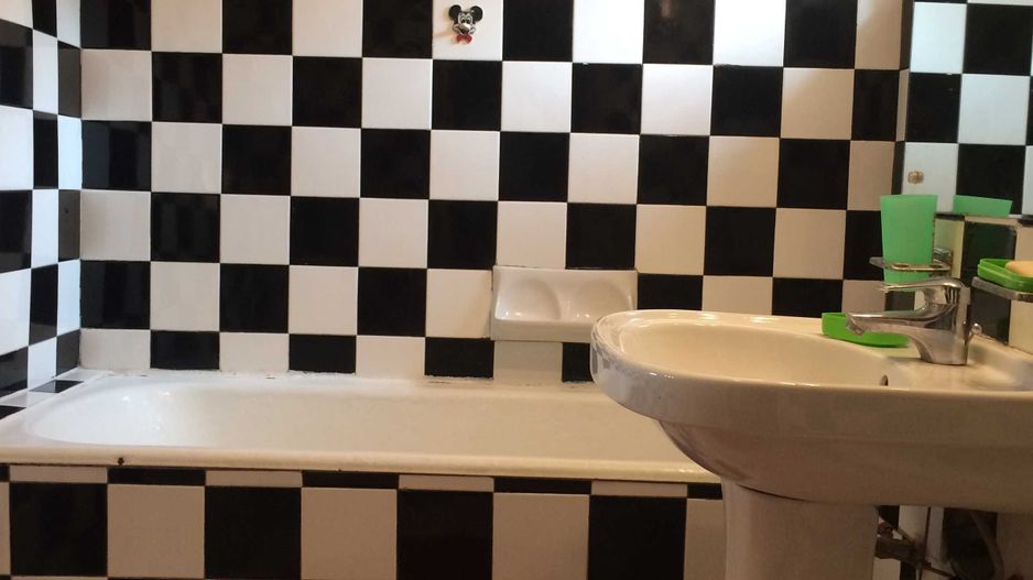 Apartment Mihalache/Parc Kiseleff - Poză 5