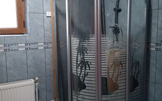 Casă Spațioasă P+1+M, 265 mp Utili, 1000 mp Teren – Toate Utilitățile, Vânători - Poză 9