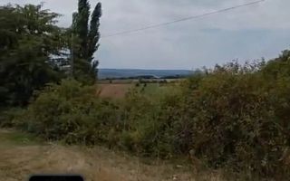 Livadă pe rod de 1570 mp, cu acces facil, în Muntenii de Jos, județul Vaslui - Poză 2
