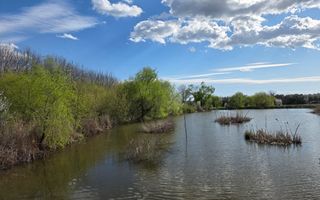 Profit garantat 7000 E! Spatii cazare zona top - 3000 mp teren - Poză 5