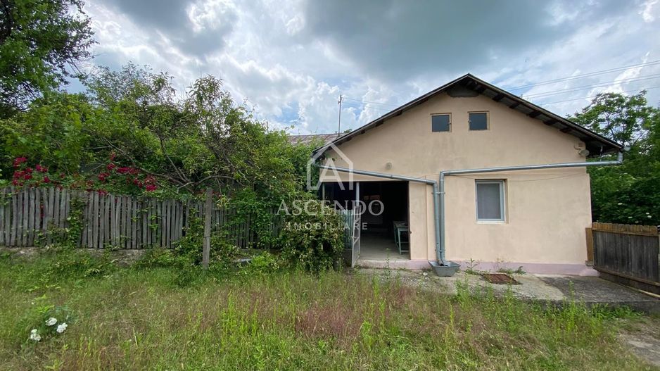 Domeniu 15.900 mp în Fințești | Casă + Investiție Dealu Mare - Poză 8