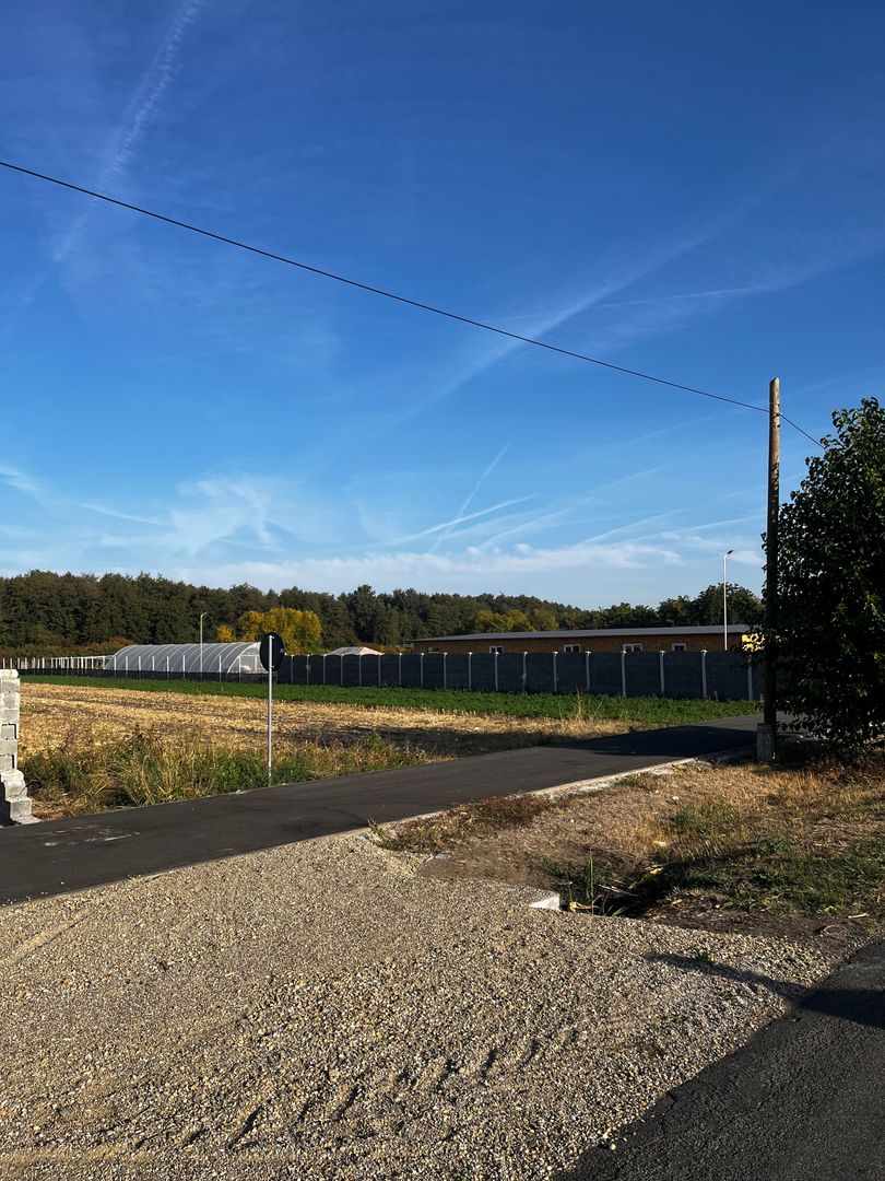 De vanzare 2 terenuri intravilane in Santau Mic – 1.000 mp fiecare - Poză 3