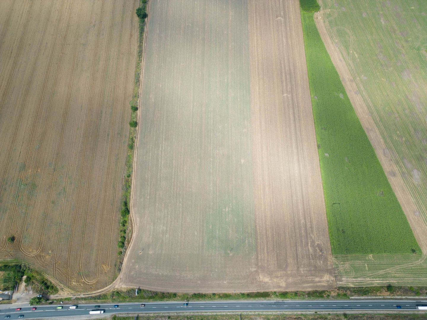 Teren extravilan 12.000 mp DN79 Arad-Oradea - Poză 2