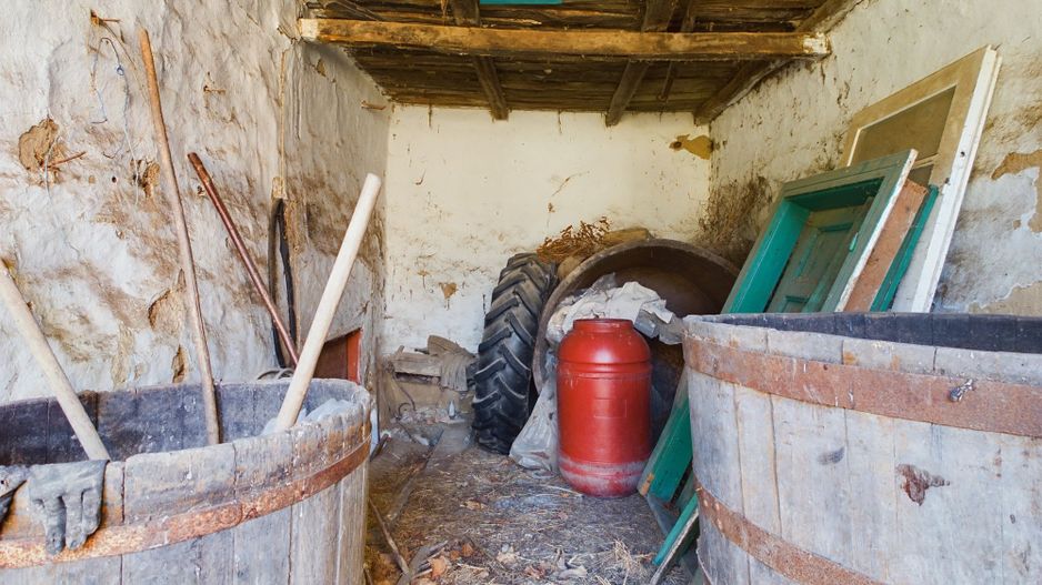 Casă de vacanță de vânzare în Tauț - Poză 15