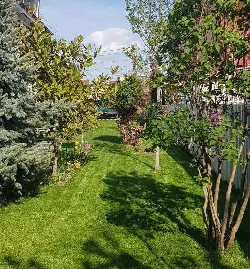 Vila de vanzare zona Metro/Arcasilor - P+1E+M - Poză 7