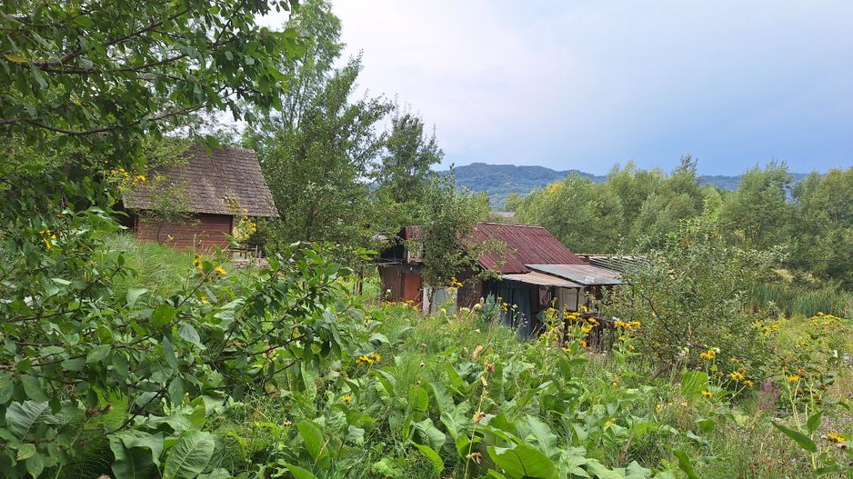 VANZARE ANSAMBLU CASUTE BRADULET ARGES - Poză 11