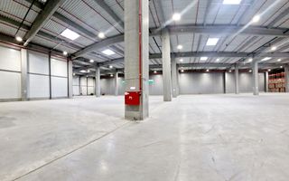 Spatiu industrial flexibil (Depozitare/Productie) - Chitila - Nord - Poză 2