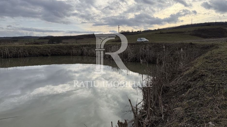 Pescărie cu teren intravilan | Drăgești | Bihor - Poză 1