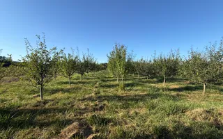 Casă de vânzare Voitinel | 32 Ari | Construită în 2023 - Poză 17