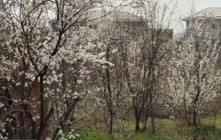 Teren 2,000mp Prelungirea Ferentari
