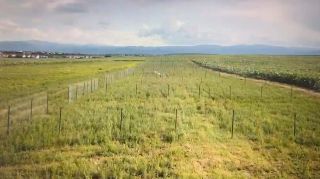 Teren | Intravilan | 511 mp | PUZ-Aprobat - Poză 4