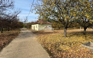 NECTORA IMOB-Teren cu livada matura+Anexa racordata la trifazic,9162mp - Poză 1