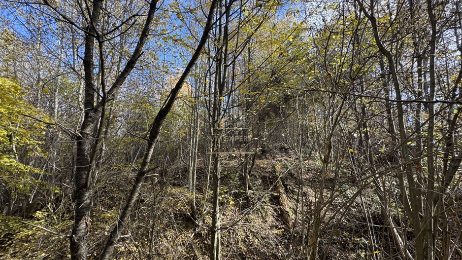 TEREN INTRAVILAN 13167 MP BUGHEA DE SUS ARGES - Poză 27