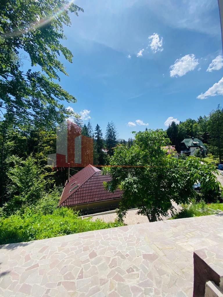 Vila Sinaia - Poză 12