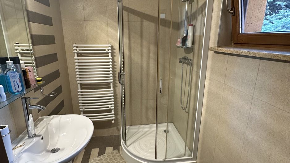 Proprietate cu piscina Dumbravita - Poză 42