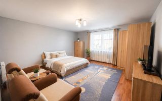 Nivel in casa cu 2 apartamente,145 mp utili+ teren 338mp, Gheorghe Doja - Poză 3