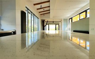 Vanzare Vila Snagov - Poză 4