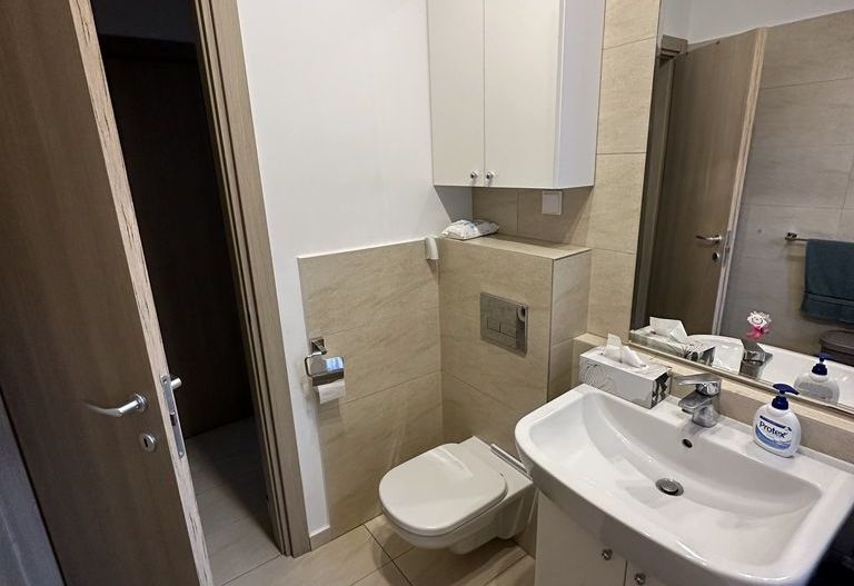 Apartament 2 camere cu gradina - Poză 7