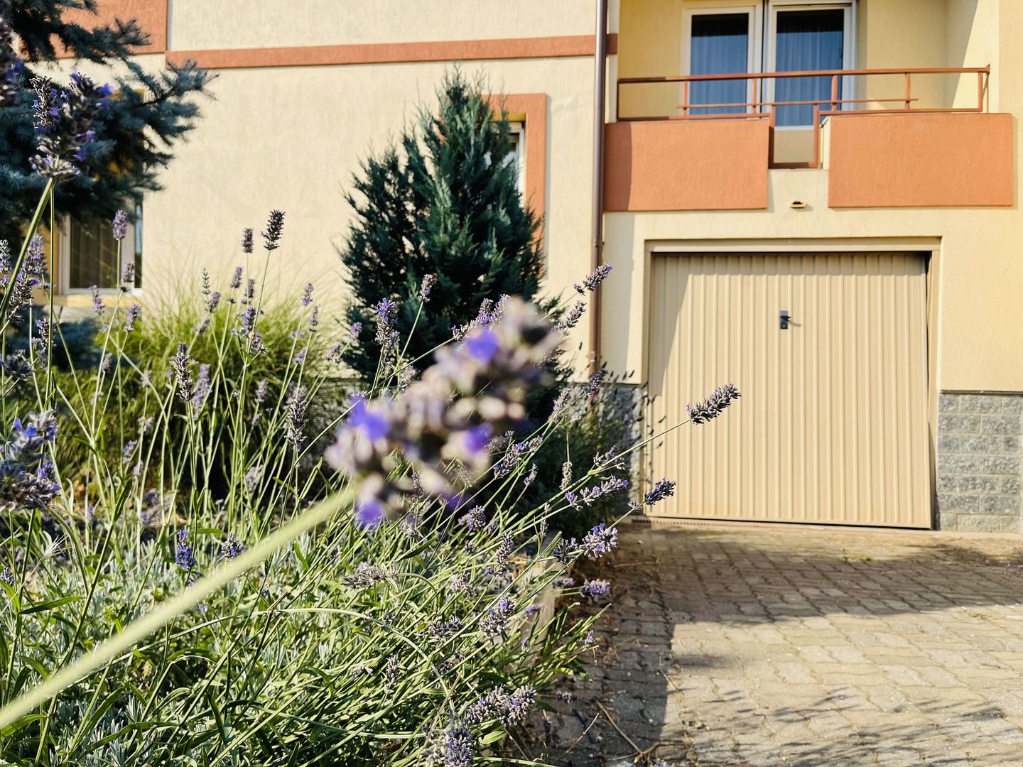 Casa individuala cu 4 dormitoare, 184 mp | Garaj & Gradina | Fropin - Poză 39