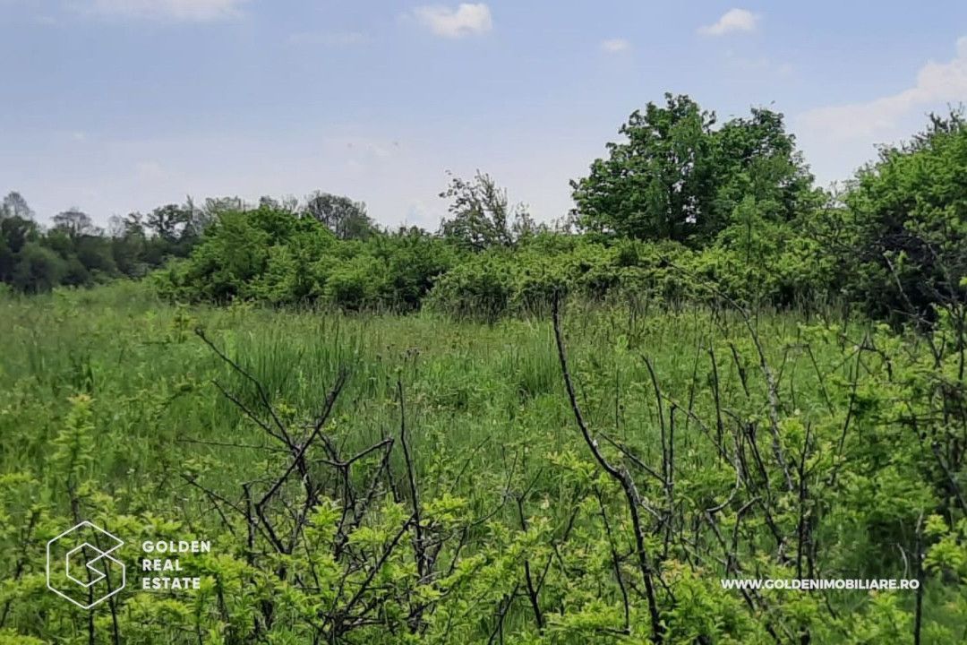 Teren intravilan 2880 mp, DJ 572 Lipova - Poză 3