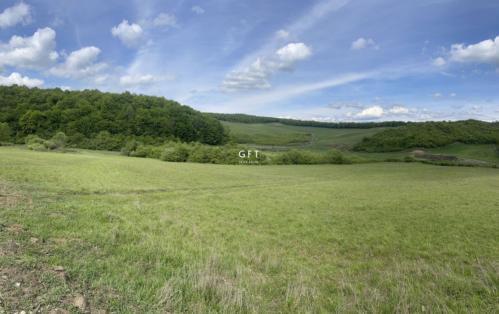 Teren extravilan 10000 mp, Jelna. - Poză 5