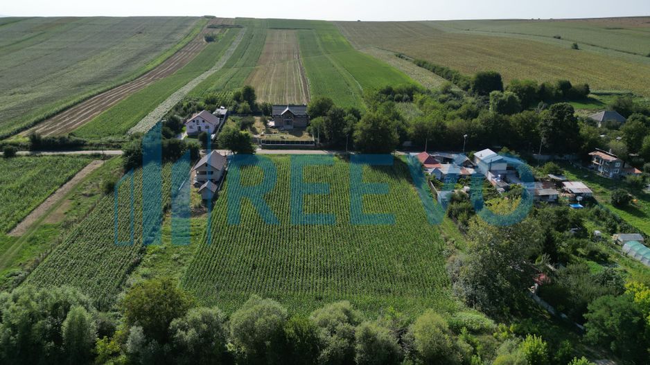 Teren intravilan de vânzare, Sat Bogdănști, Com. Traian - Poză 5