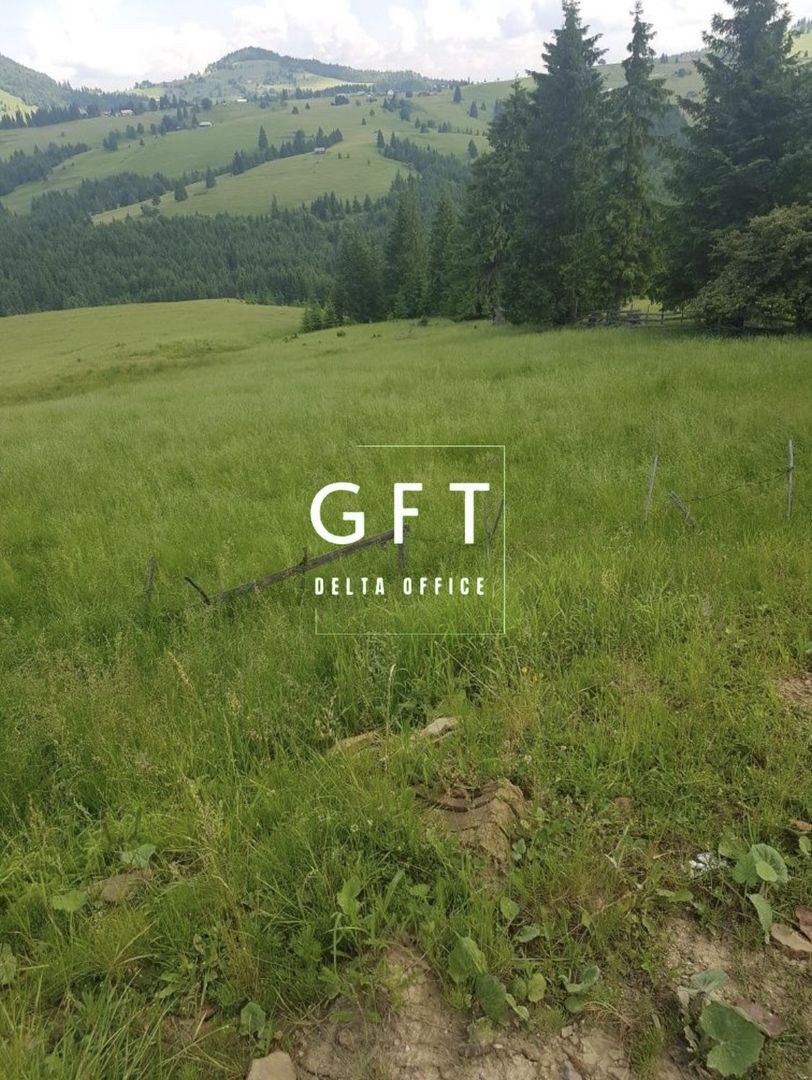 TEREN+PADURE, PASUL TIHUTA - Poză 1