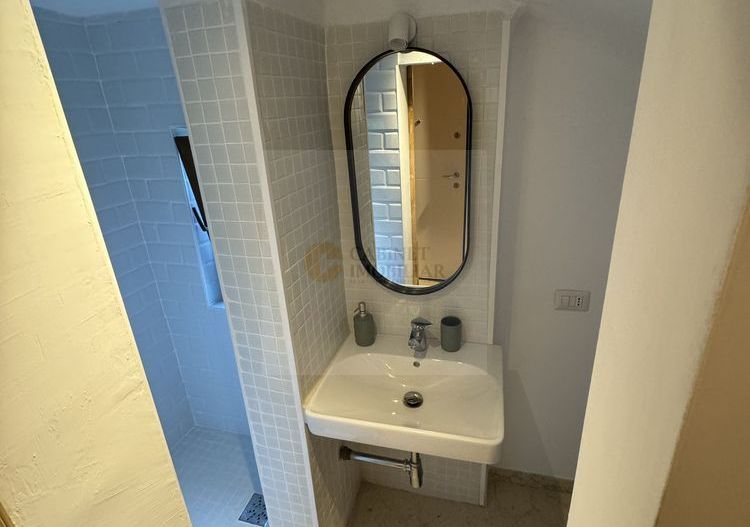 R1  | Studio  | Parcul Cismigiu - Poză 6