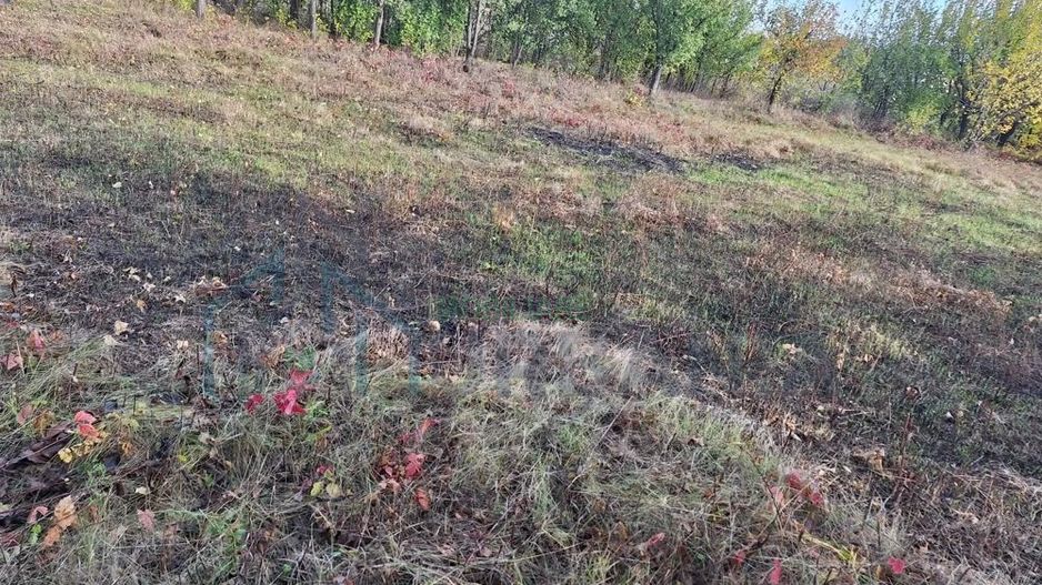 Vând Teren Horlesti-Rediu - Poză 3