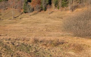 Teren Parcelabil 2950 Panorama la Lac Colibita-ideal Cabana, Pensiune - Poză 8