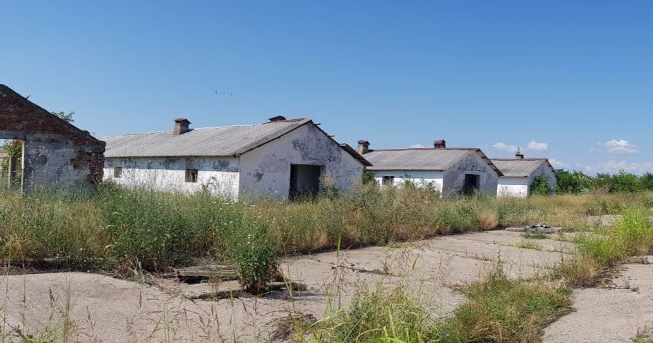 Ferma zootehnica Precistanu - Poză 1