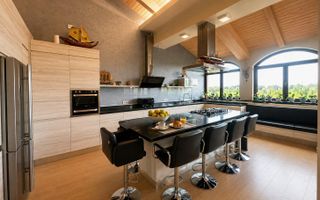 SNAGOV VILA | 36m DESCHIDERE LA LAC | PONTON 250mp | JACUZZI | SPA | BOWLING - Poză 3