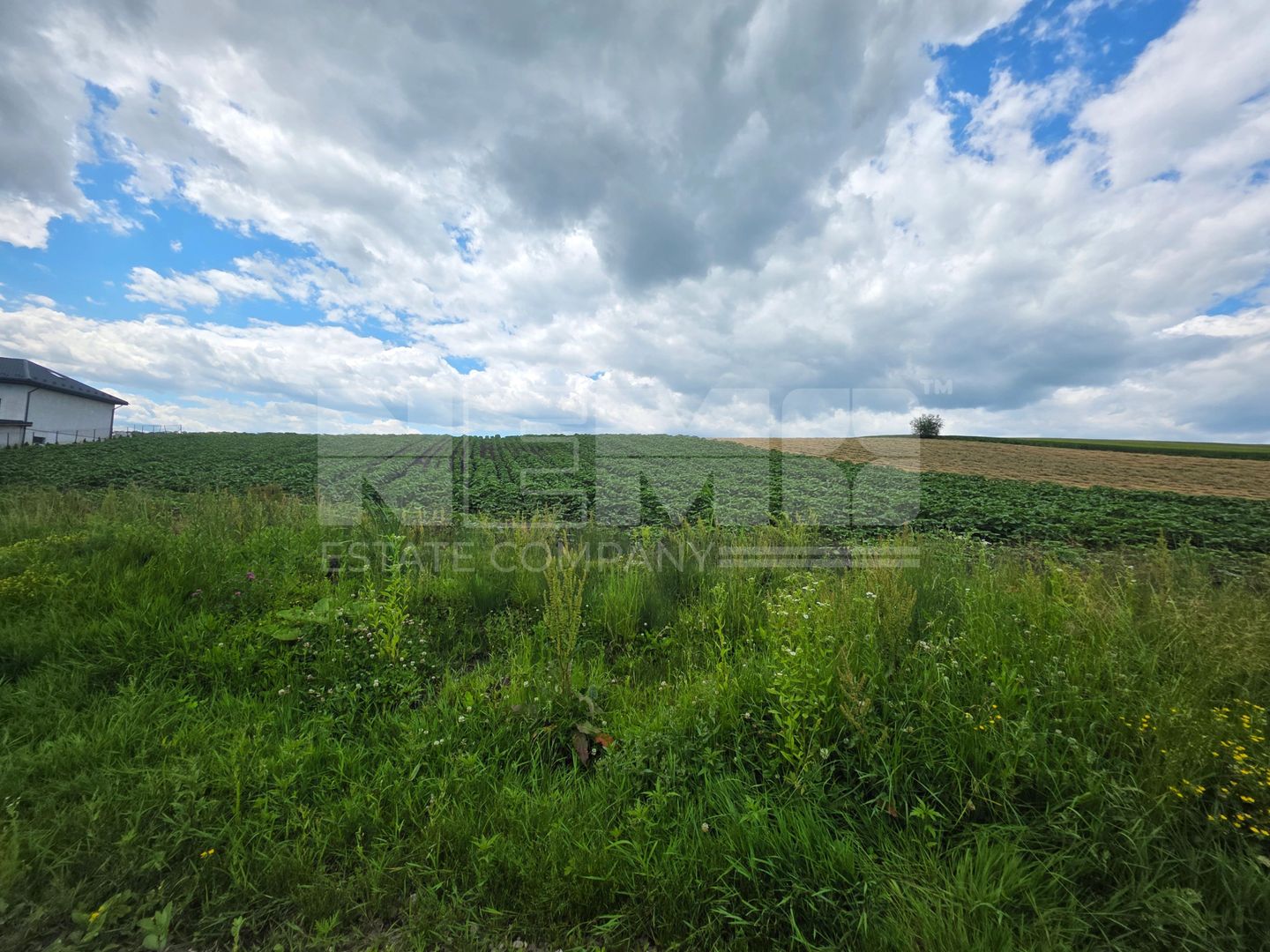 TEREN INTRAVILAN | MOARA NICA, SUCEAVA | 115.000€ - Poză 5
