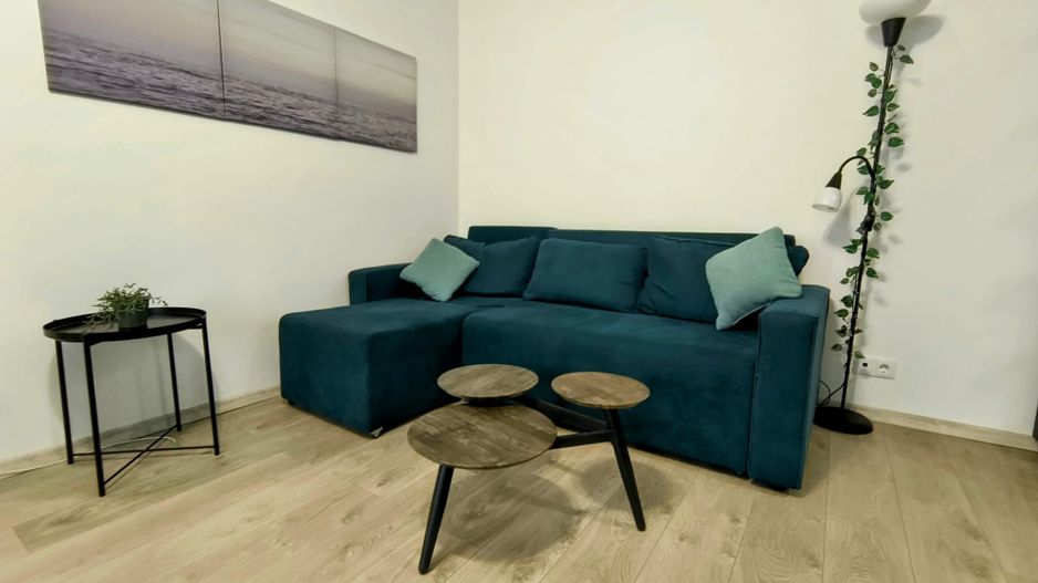 Ion MIhalache- Ciuperca- Hotel Samaa - Poză 2