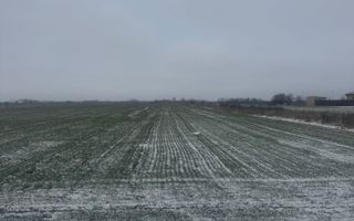 COMISION 0% | Teren intravilan | 5.000 mp | Front stradal 12,5 m | Șag - Poză 3