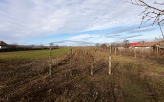 Casa si teren 3365mp Sascut - Poză 28