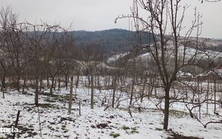 Teren intravilan 704 mp, acces asfaltat, priveliste Padurea Breazu - Poză 8