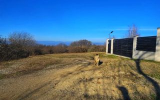 Teren intravilan 1.000 mp – Seciu, 2 deschideri, Priveliște panoramica - Poză 6