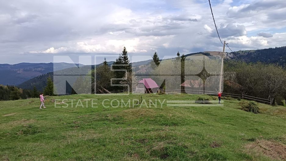 Teren Intravilan | Brodina de Jos | 16900 MP - Poză 3