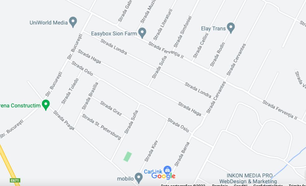 Teren Dumbravita str Bucuresti-581 mp - Poză 2