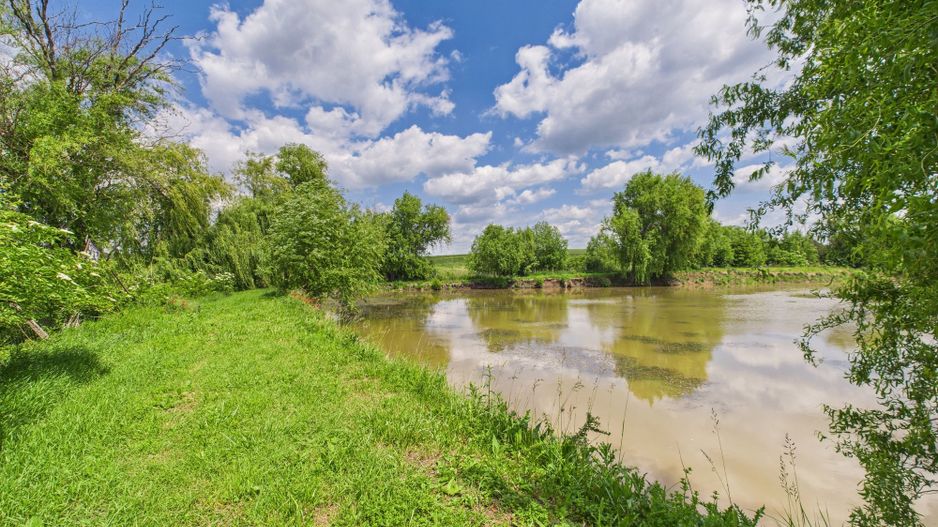 Teren cu baltă- oportunități multiple la Fibiș - Poză 22