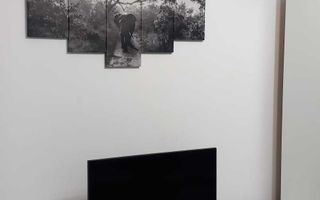 Inchiriere apartament Aviatiei - Poză 3