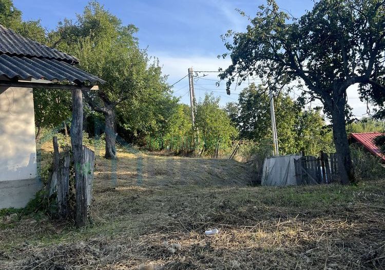 Teren intravilan 3003 mp cu casă bătrânească, fântână și curent electric în Dobrovat, Iași - Poză 5