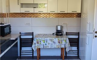 De vanzare vila individuala in Lunca Cetatuii Cartierul Tineretului - Poză 8