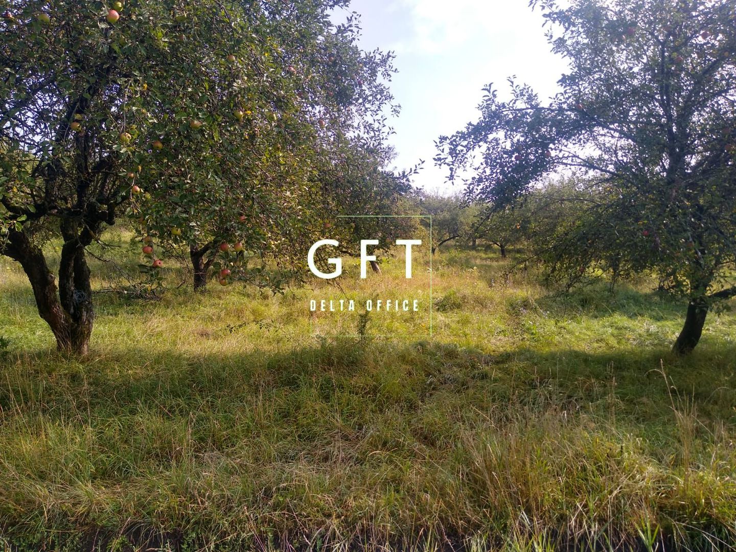 Teren 1500 mp - pretabil cabana/investitie - Zona Valea Rusului - Poză 1