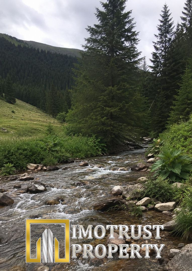 Teren cu acces la râu în Stejar – ideal pentru cabane sau retreat - Poză 6