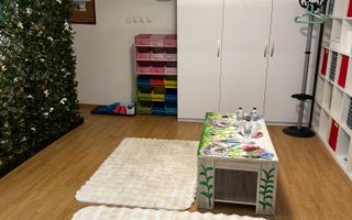 SPATIU COMERCIAL DOMENII, LOC PARCARE, CENTRALA, MOBILAT/UTILAT, CURTE - Poză 11