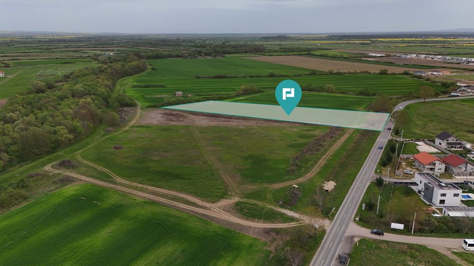 Teren intravilan 5800 mp în Remetea Mare - Poză 3