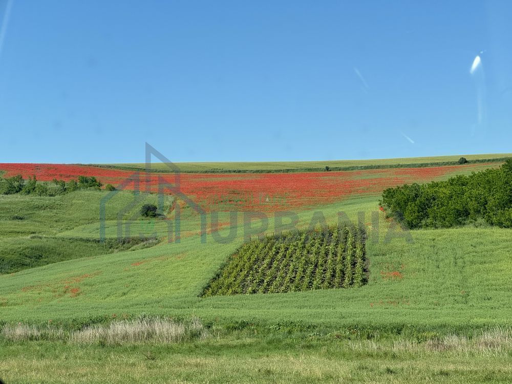 Teren de vânzare, 1.400 mp, Sat Tăutești, Comuna Rediu - Poză 1