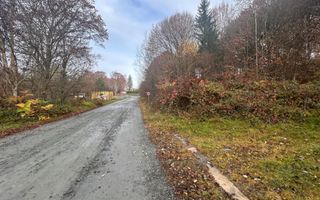 Oportunitate de investiție – Teren pentru hotel / pensiune pe Valea Avrigului - Poză 10